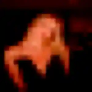 Contacte Charline, 43 ans à Louvigné gratuitement