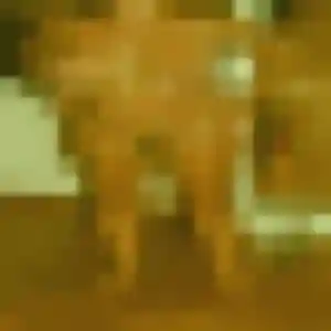 Photo perso de Verane, 34 ans à Lucenay-lès-Aix - rencontre coquine