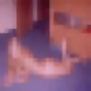 Photo de Sofia à Ludres (38 ans) - plan cul sans inscription