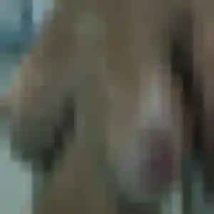 Photo de Ophelie à Lunan (24 ans) - plan cul gratuit