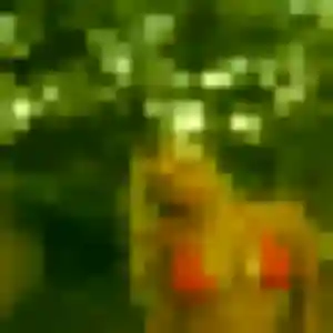 Photo de Lamia à Luzy (25 ans) - plan cul discret