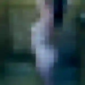 Découvre Lamia, 34 ans à Machault gratuitement