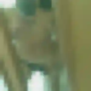 Contacte Jessica, 30 ans à Macornay en privé