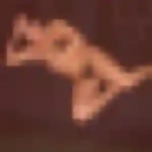 Photo exclusive de Xaviere, 38 ans à Magalas - plan discret
