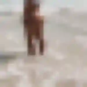 Noura, 23 ans, connectée à Maillot pour une rencontre coquine