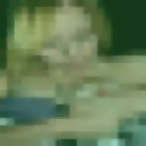 Contacte Anne-Charlotte, 34 ans à Malansac en t'inscrivant