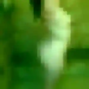 Photo de Zineb à Malauzat (25 ans) - plan cul anonyme