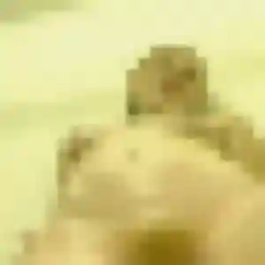 Photo privée de Suzanne, 32 ans à Mannevillette - plan discret