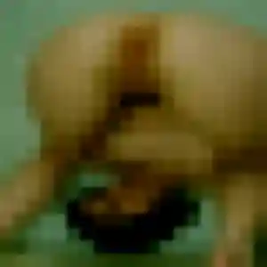 Photo exclusive de Yasmina, 28 ans à Marlenheim - rencontre coquine
