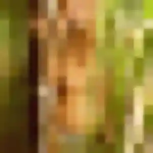 Photo privée de Jade, 27 ans à Marly - rencontre sans lendemain