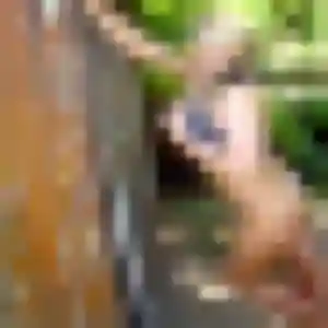 Barbara (25 ans) à Martignat cherche une rencontre maintenant