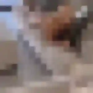 plan cul à Mathieu : photo de Maud, 33 ans - sans engagement
