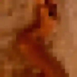 Imane, 27 ans, disponible à Maulévrier pour une rencontre coquine