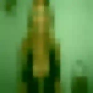 Photo perso de Aisha, 29 ans à Mauriac - rencontre coquine