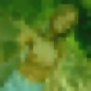 Photo de Tessa à Meillant (25 ans) - plan cul gratuit