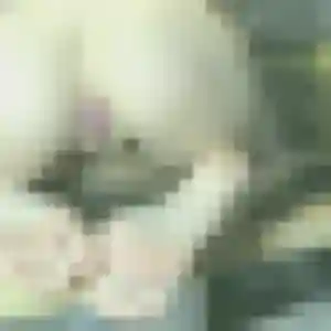 Aurore, 39 ans, en ligne à Meillon pour une rencontre coquine