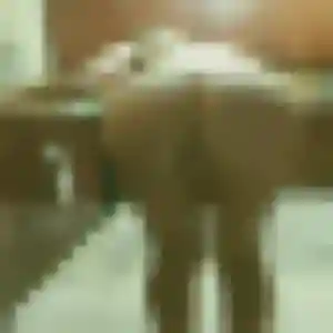 Yasmina, 38 ans, dispo pour plan cul à Meillonnas