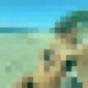 Sandrine, 28 ans, en ligne à Meroux-Moval pour une rencontre coquine