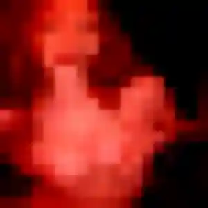 Photo de Priscilla à Méteren (36 ans) - plan cul anonyme