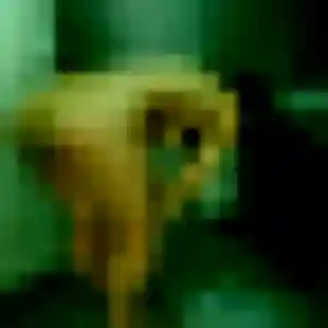 Photo de Lamia à Meylan (44 ans) - plan cul anonyme