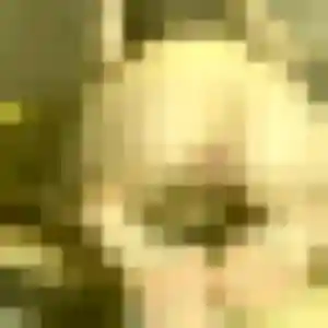 Sexy Giulia, 26 ans à Mézos - découvrir son profil