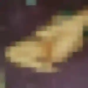 Iris, femme de 44 ans cherche plan cul à Mirepeix