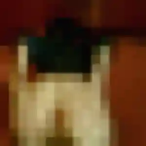 Photo perso de Sandrine, 33 ans à Mirepeix - rencontre coquine