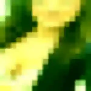 Photo de Ketty à Moëze (40 ans) - plan cul anonyme