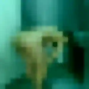 Samantha, femme de 45 ans cherche plan cul à Monteneuf