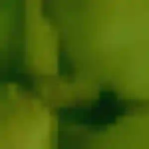 Photo de Khadija à Montils (23 ans) - plan cul sans inscription