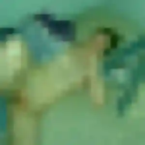 Photo sexy de Raphaelle, 35 ans à Moosch - rencontre coquine