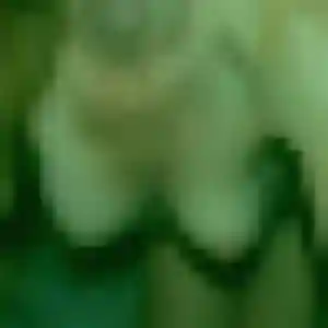 Belle Jacqueline, 28 ans à Morancé - la contacter