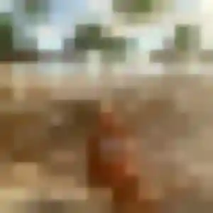 Yannick, femme de 28 ans cherche plan cul à Morschwiller
