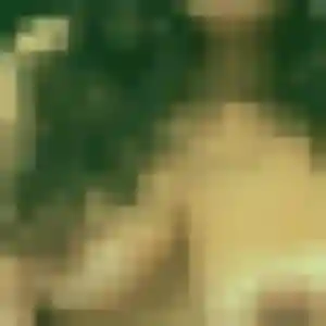 Photo exclusive de Albane, 37 ans à Moux - rencontre coquine