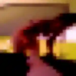 Photo sexy de Laurence, 35 ans à Muret - plan discret