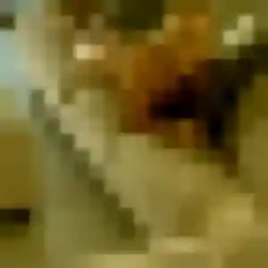 Amandine, 44 ans, dispo pour plan cul à Neschers