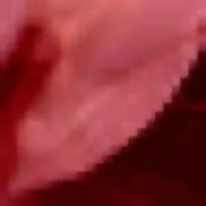 Rejoins Perrine, 29 ans à Neulise gratuitement
