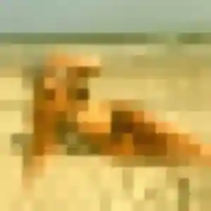 Photo exclusive de Solange, 25 ans à Niederlauterbach - rencontre sans lendemain