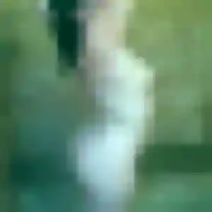Erika, 32 ans, disponible à Nogent-sur-Oise pour une rencontre coquine