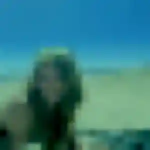 Profil de Isabelle à Nohanent (23 ans) - plan cul discret