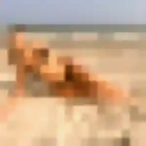 Belle Natasha, 42 ans à Nointot - la contacter
