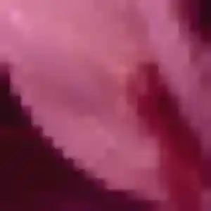 Fiona, 23 ans, disponible à Oberhoffen-sur-Moder pour un plan cul