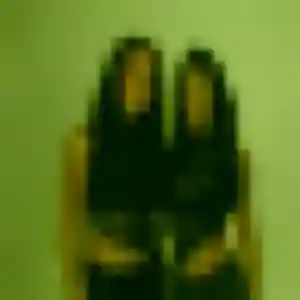 Dina, 45 ans, en ligne à Orchamps pour une rencontre coquine