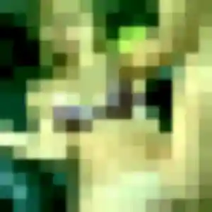 Photo exclusive de Alice, 25 ans à Oudon - rencontre sans lendemain