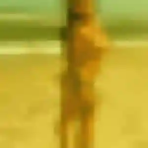 Nicole, 43 ans, dispo pour plan cul à Parthenay