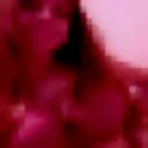 Photo de Louise à Pelleautier (32 ans) - plan cul discret