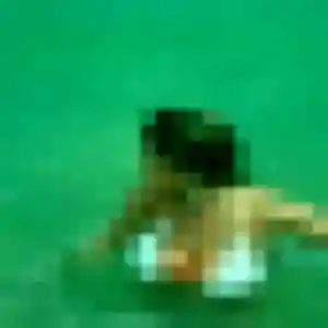 Photo de Faustine à Peschadoires (39 ans) - plan cul discret