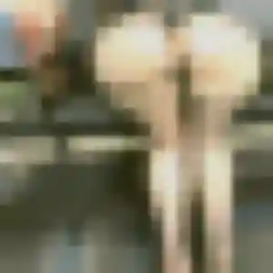 Photo sexy de Sarah, 25 ans à Pézenas - rencontre sans lendemain