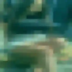 Contacte Ophelie, 34 ans à Pin en privé