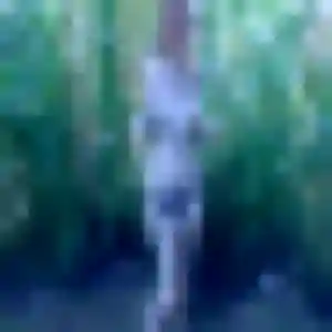 Photo perso de Salome, 36 ans à Plaudren - rencontre coquine